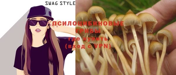 стафф Бородино