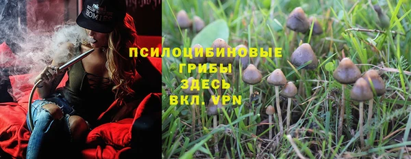 стафф Бородино