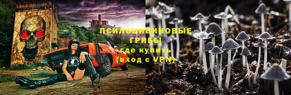 тгк Бронницы