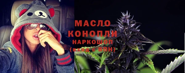 стафф Бородино