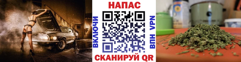 Шишки марихуана ГИДРОПОН  Купить где  Иннополис 